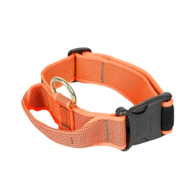 Image of Julius K9 Color &amp; Gray Collar with Handle, Safety Lock and Interchangeable Patch, 40 mm (38 53 cm), Orange