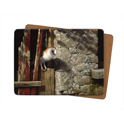 Image of Julian Friers Barn Owl in Doorway Large Table Mat by Wildlife Artist Non slip Cork backed Placemat