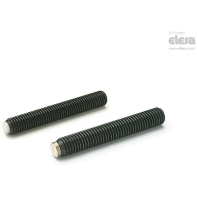 Image of ELESA Grub screw GN 913.3 M10 40 MS