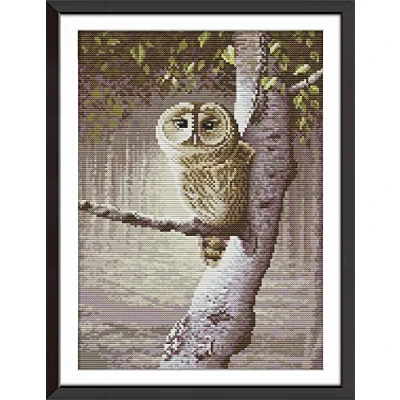 Image of Abillyn Embroidery Cross Stitch Kits Owl Stamped with Printed Pattern Starter Kit (Owl)