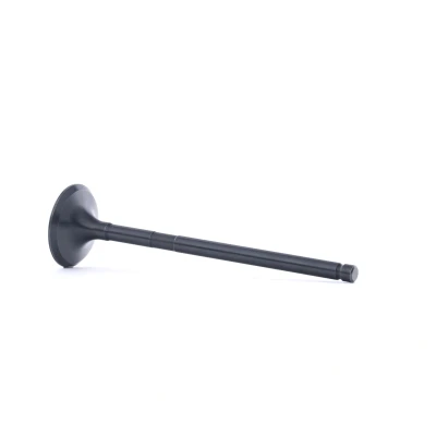 Image of BGA V998746 Exhaust