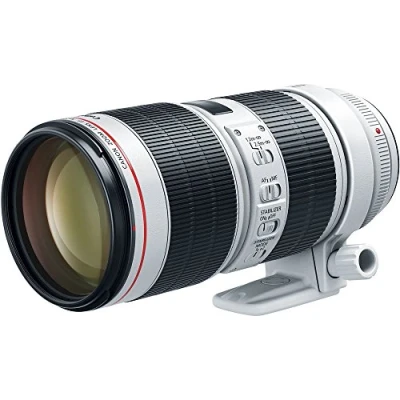 Image of Canon EF 70 200mm f/2.8L IS III USM Lens Telephoto Zoom 3.5 stop Image Stabilizer Action, Travel, Sports, Wildlife