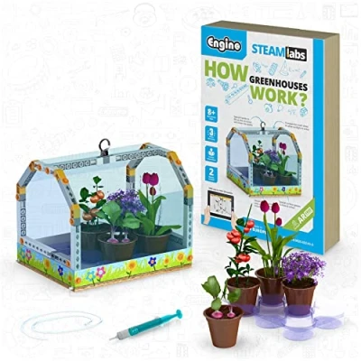 Image of Engino Jouets Steam Labs Comment fonctionnent Les serres ? Kits scientifiques éducatifs pour Enfants Kit d&#039;expériences et d&#039;activités guidées