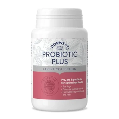 Image of Dorwest Herbs Probiotic Plus for Dogs 100 Capsules, Pre, Pro and Postbiotic with Daily Microbiome Support Optimal Gut Health