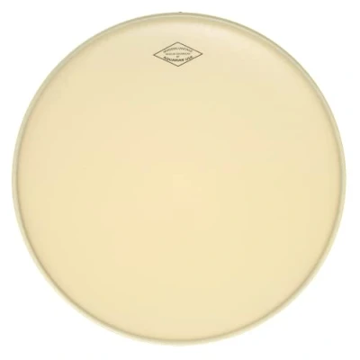 Image of Aquarian Modern Vintage Medium 13 inch