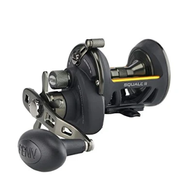 Image of PENN Squall II Star Drag Conventional Fishing Reel