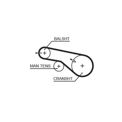 Image of 2335638000, 2335638010, 2335638011, 2335638020 Timing Belt GATES FleetRunner Micro V Stretch Fit 5570XS 65 520mm 12,7mm HYUNDAI: Santa Fe I