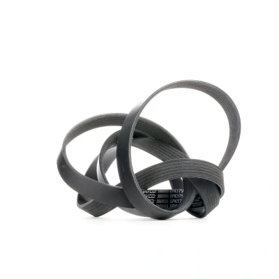 Image of 5750T9 V ribbed belt DAYCO 6PK1750 1750,0mm 6 ALFA ROMEO: 159 Saloon, Brera, 156 RENAULT: CLIO 2, Kangoo I, I Express