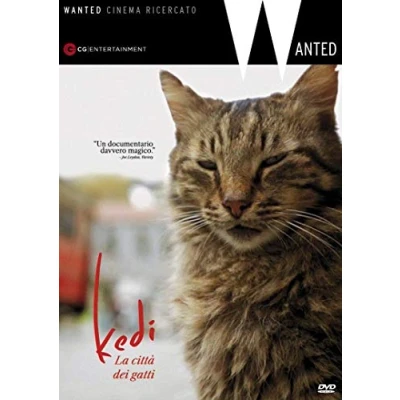 Image of Kedi [DVD] (IMPORT) (No English version)