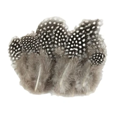 Image of Guinea Fowl Feathers, 100 Pack 6 12cm/2.36 4.72 Inch Natural Speckled Feathers for DIY Art Craft Collage Headdress Home Wedding Birthday Party Decoration (Primary Color)