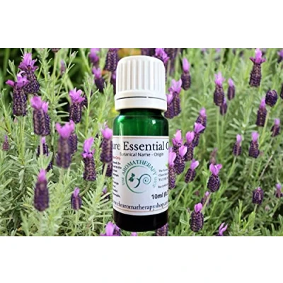 Image of Lavender (French) Pure Essential Oil 10ml