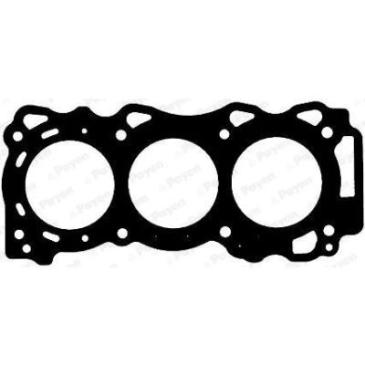 Image of 110448J107 Head Gasket PAYEN AE5910 Multilayer Steel (MLS) Left NISSAN: NP300 Navara Pickup, Pathfinder 3, Elgrand
