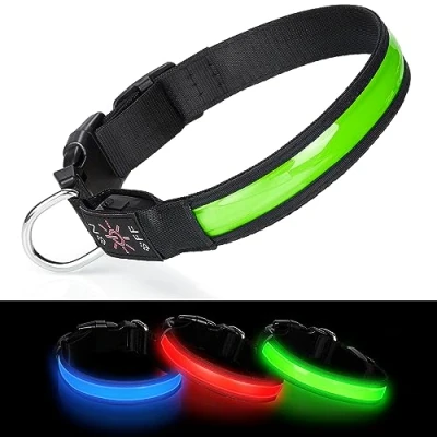 Image of Benxdara Light Up Dog Collar USB Rechargeable, Adjustable LED with 3 Lighting Modes for Small Medium Large Dogs Walking the Dark Safely Green L