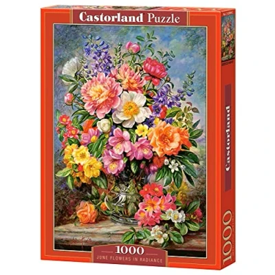 Image of Castorland CSC103904 Puzzle, Various