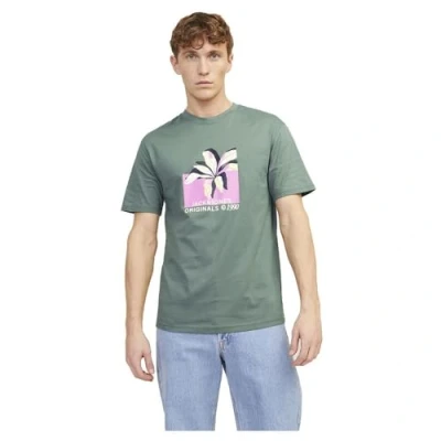 Image of JACK &amp; JONES Men&#039;s Jortampa AOP Branding Tee Ss C.n Sn T Shirt, Laurel Wreath, M