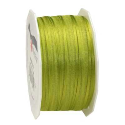 Image of C.E. Pattberg Präsent Marseille Wired Organza Ribbon Lime Green 10 mm width, 50 m length