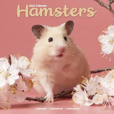 Image of Hamsters 2025 Square Wall Calendar Animal, Wildlife ENGLISH EDITION: Original Avonside Kalender [Mehrsprachig] [Kalender]