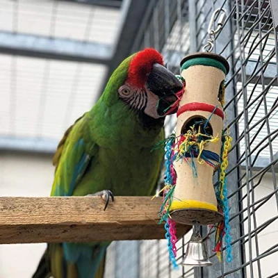 Image of Foraging Barrel Parrot Toy