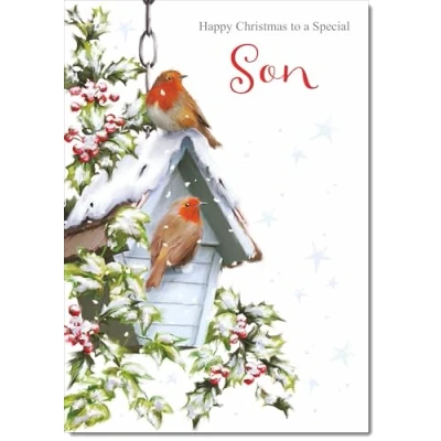 Image of doodlecards Son Christmas Card Two Robins in Snow Medium Size for with Plain Envelope