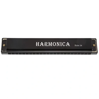Image of 24 Hole Harmonica, Beginner Harmonica Wind Musical Instrument for Daily Entertainment