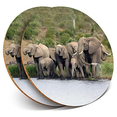 Image of 2 x Round Coasters Beautiful Wild Elephant Herd Cork Backed Home Kitchen Accessory Tea Coffee Mug Mat #15570