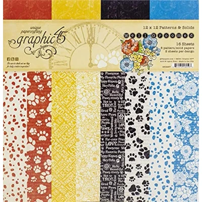 Image of Graphic 45 12x12 Inch Patterns &amp; Solids Paper Pad Well Groomed