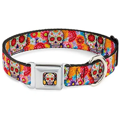 Image of Buckle Down 9 15&quot; Sugar Skull Starburst White/Multi Color Dog Collar, Small