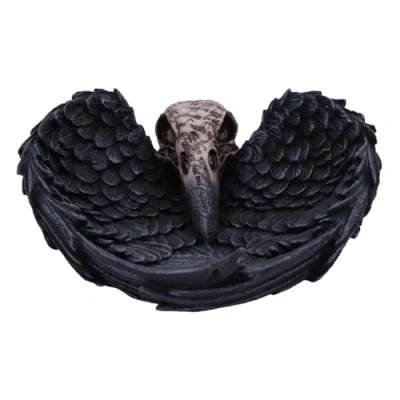 Image of Nemesis Now Edgar Allen Poe&#039;s Nevermore Raven Skull Trinket Holder Jewellery Dish, Black, 17 cm