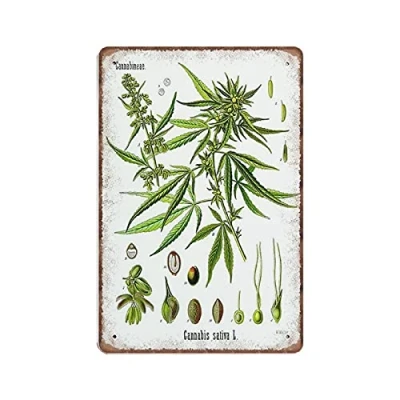 Image of DAIERCY Cannabis Botanical Tin Signs Sativa Print Funny Vintage Metal Sign Plaqu Poster Wall Art Pub Bar Kitchen Garden Bathroom Home Decor, 140x200 mm