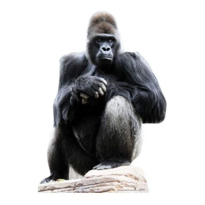 Image of Star Cutouts Cut Out of Gorilla