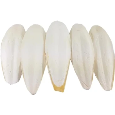Image of Britten and James Extra Large Cuttlefish 21 28cm (Pack of 5). Suitable for Parakeets, Budgies, Canaries, Tortoises, Turtles, Snails Terrapins