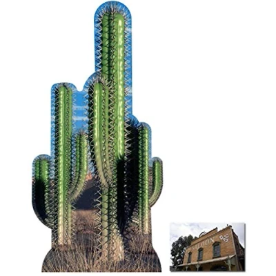Image of Cactus Group Lifesize Cardboard Cutout / Standee Standup Includes 8x10 (20x25cm) Star Photo