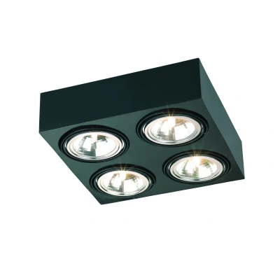 Image of Rodos Quad Surface Mounted Downlight Black Structure