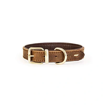 Image of Item Details: EzyDog Oxford Premium Adjustable Leather Dog Collar Small Brown