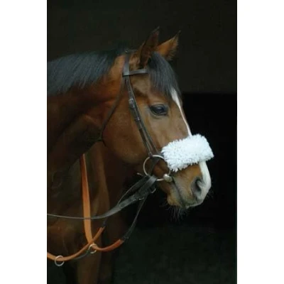 Image of Horse Racing Greeting Card Featuring Thoroughbred Racehorse (Phoenix Reach)