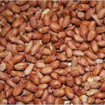 Image of LEEWAY WOODWORK PEANUTS FOR WILD BIRDS SQUIRRELS NUTS PET FEEDING SEED GARDEN BIRD FEEDER (500 G)