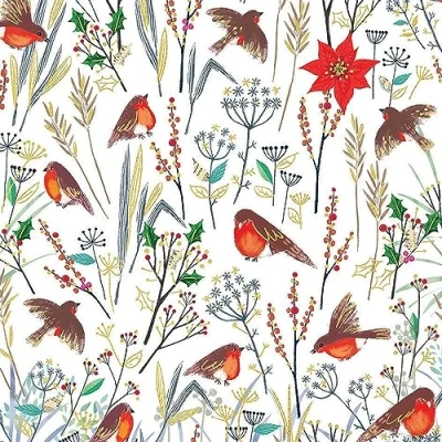 Image of Marie Curie Robins Print Christmas Cards Pack of 10