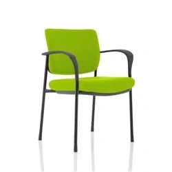 Image of Brunswick Deluxe Black Frame Bespoke Colour Back Seat Green With Arms