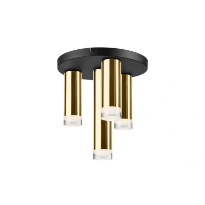 Image of Diego Surface Mounted Downlight Gold, 4x E27