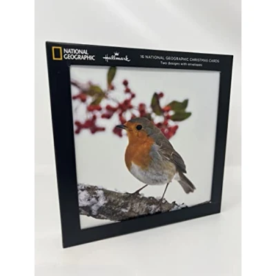 Image of Hallmark Charity Christmas Cards from Pack of 16 in 2 National Geographic Robin Squirrel Photographic Designs