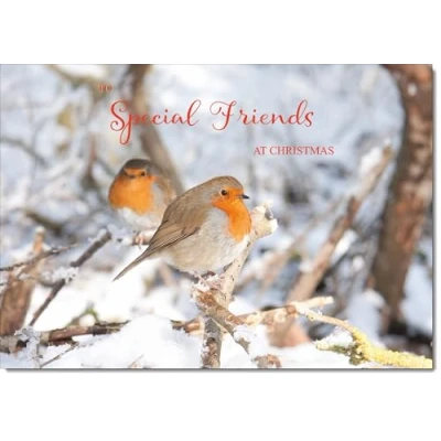 Image of doodlecards Special Friends Christmas Card Two Robins in Tree Medium Size for with Plain Envelope