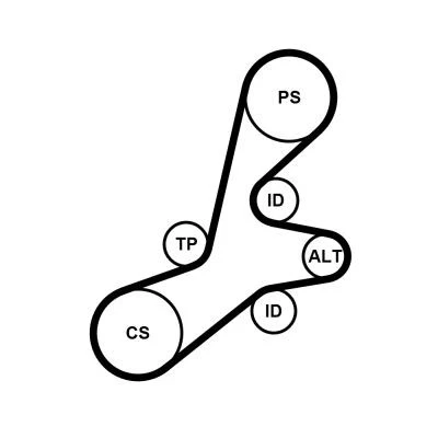 Image of STD13528000M20 Timing Belt CONTITECH CT873 169 20mm VAUXHALL: Vectra Mk1 Saloon, Astra Mk3 CC, Corsa Mk1, OPEL: B Hatchback