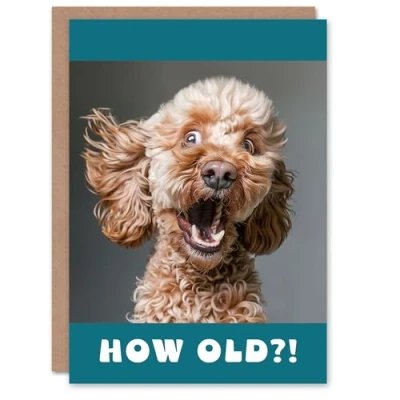 Image of Artery8 Birthday Card Surprised Cockapoo Dog Photo How Old Funny Joke Cheeky Animal For Him Her Man Woman Girl Boy Wife Husband Greeting