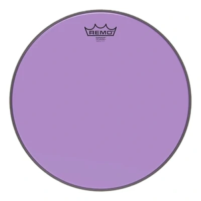Image of Remo Tom Drum Head (BE0316CTPU