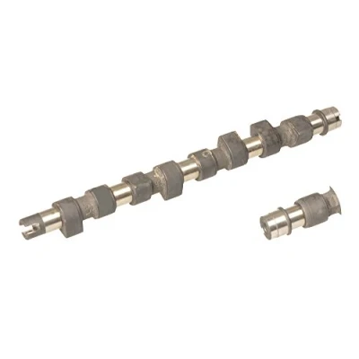 Image of 46455736 Camshaft AJUSA 93074900