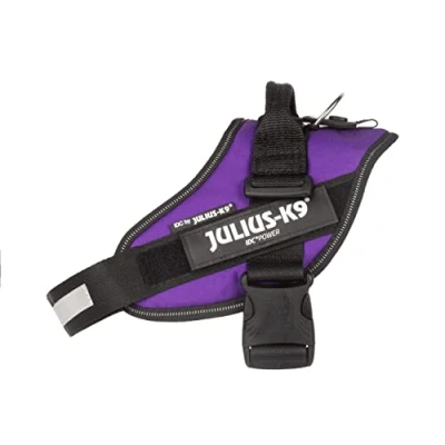 Image of IDC Powerharness, Size: M/0, Dark Purple