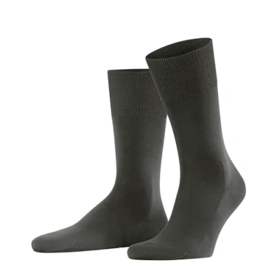 Image of Falke ClimaWool Socks 5930 Brown size 41 42