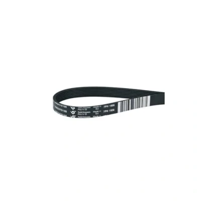 Image of sparefixd Drive Belt to Fit Beko DC7112W Condenser Tumble Dryer