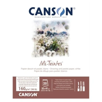 Image of CANSON Mi Teintes Coloured Drawing 160gsm 32x41cm Paper Pad, Double Sided: Honeycomb &amp; Fine Grain, Pad Glued Short Side, White, 20 Sheets, Ideal for Professional Artists Illustrators