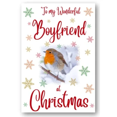 Image of Second Ave Boyfriend Christmas Robin Xmas Holiday Festive Greetings Card